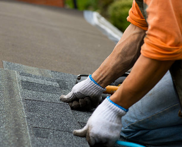Best Roof Leak Repair  in Dunnellon, FL